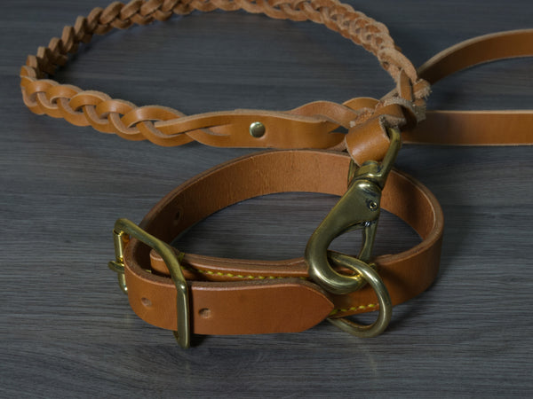 Braided Dog Leash